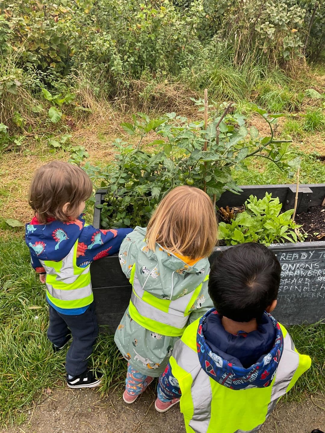 Children playing outside photo